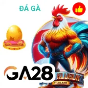 hk79 Game 07